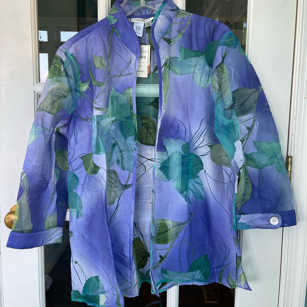 Sheer blazer top